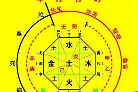 八字五行屬性查詢|生辰八字算命、五行喜用神查詢（免費測算）